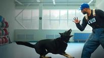 Cali K9: Trường huấn khuyển Tập 1