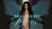 Moonlight Butterfly Tập Full