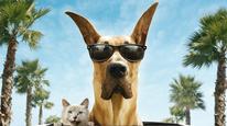 Marmaduke Tập Full