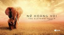 Tập Full
