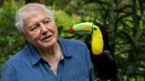 David Attenborough: Sự sống đầy màu sắc Tập 1