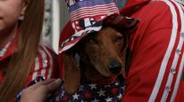 Wiener Dog Internationals Tập Full