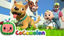 Cocomelon: Bài hát thiếu nhi (Phần 5) Tập 1