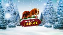 Tập Full