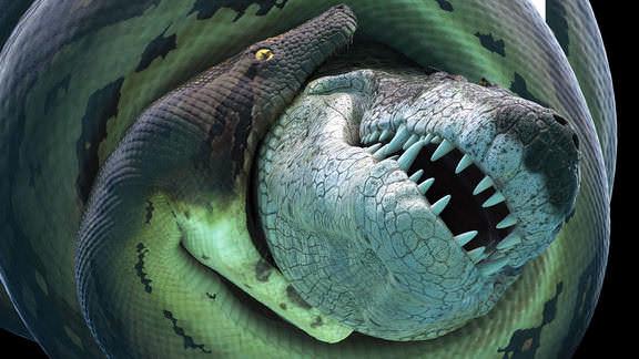 Bí Ẩn Quái Vật Khổng Lồ Titanoboa Tập Full
